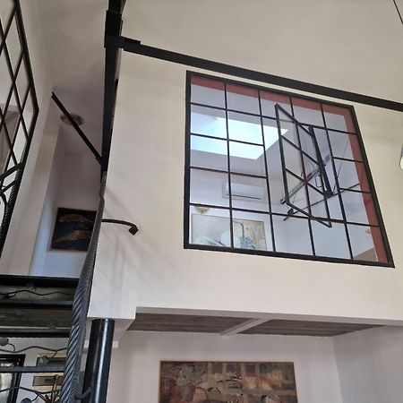 Apartament Nowy Swiat 日拉尔杜夫 外观 照片