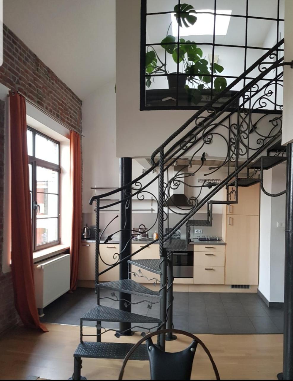 Apartament Nowy Swiat 日拉尔杜夫 外观 照片