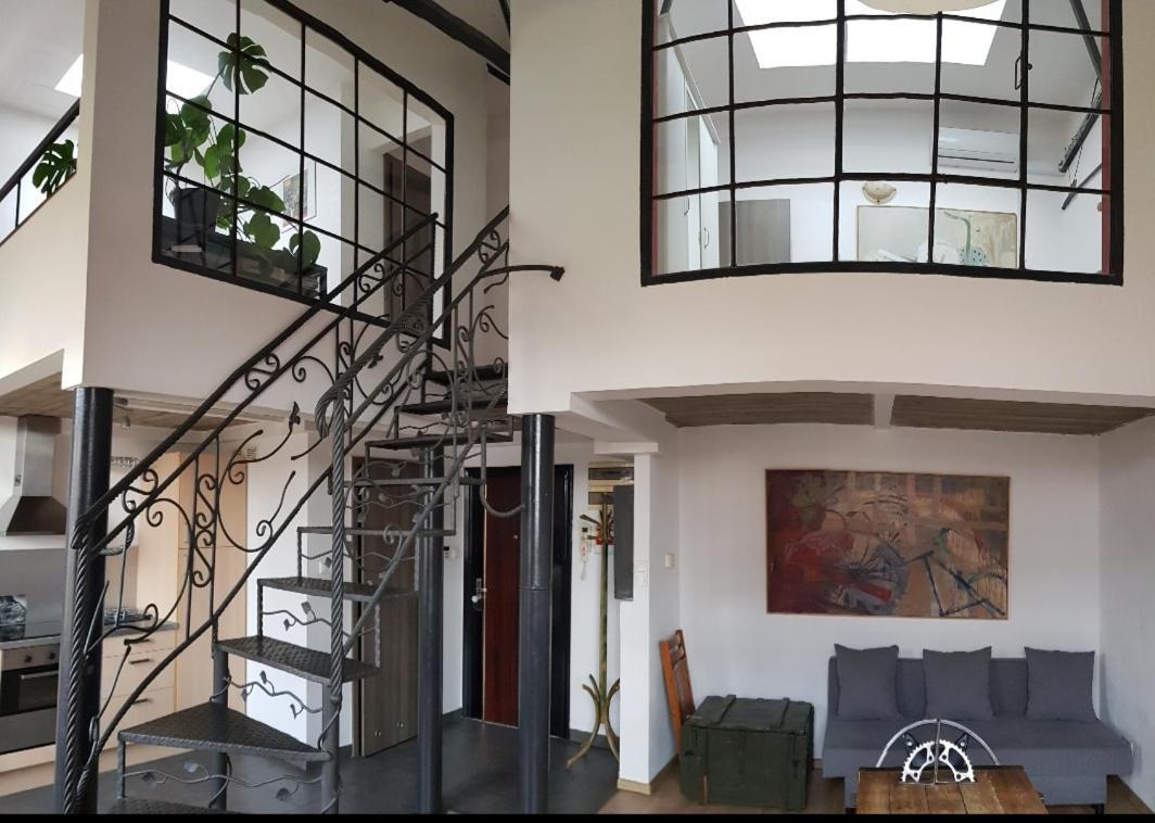 Apartament Nowy Swiat 日拉尔杜夫 外观 照片